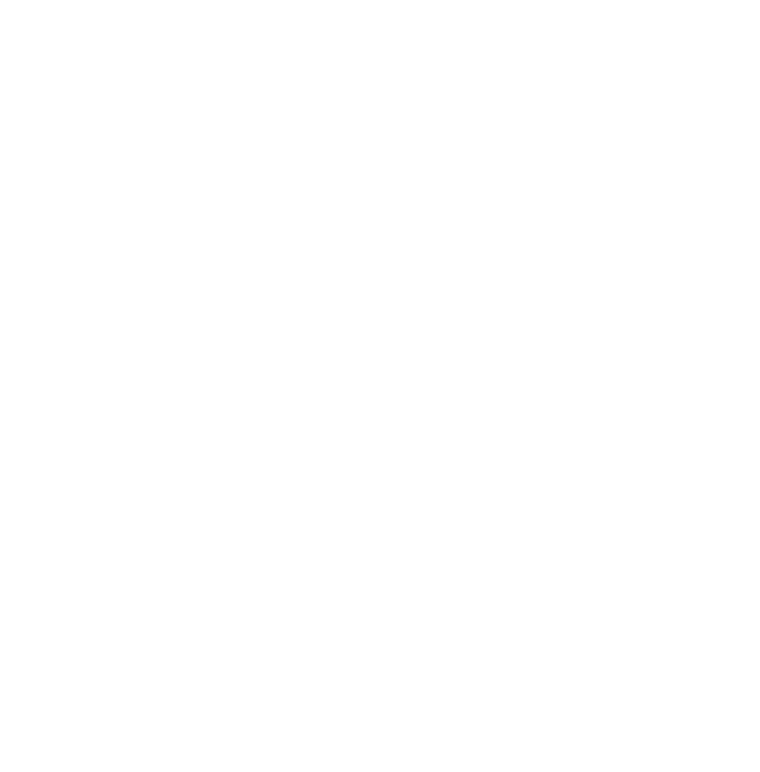 icon1